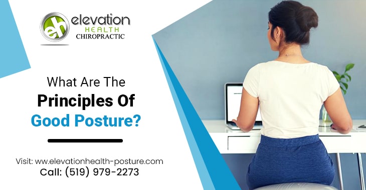 What Are The Principles Of Good Posture?