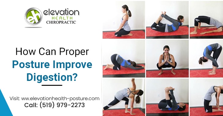 How Can Proper Posture Improve Digestion?